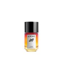 LOEWE PAULA´S IBIZA COSMIC
